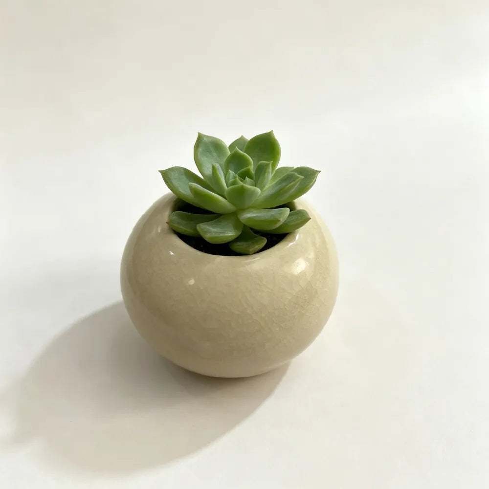 Orb Ceramic Planter - 3''