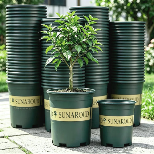 Set of green ribbed planter pots with SUNAROUND labels, including small potted tree