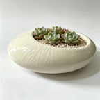 Shallow Wide Ceramic Planter