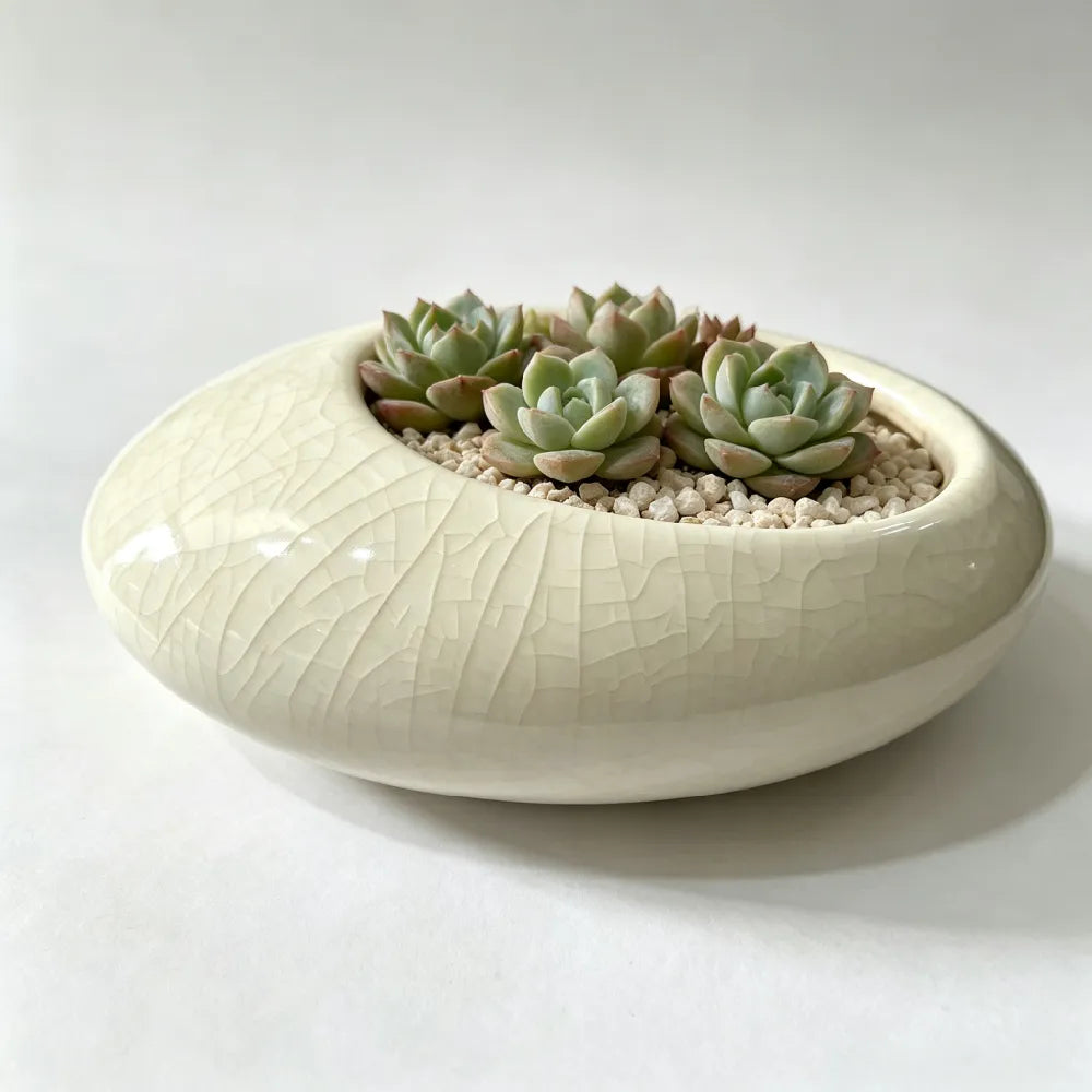 Shallow Wide Ceramic Planter