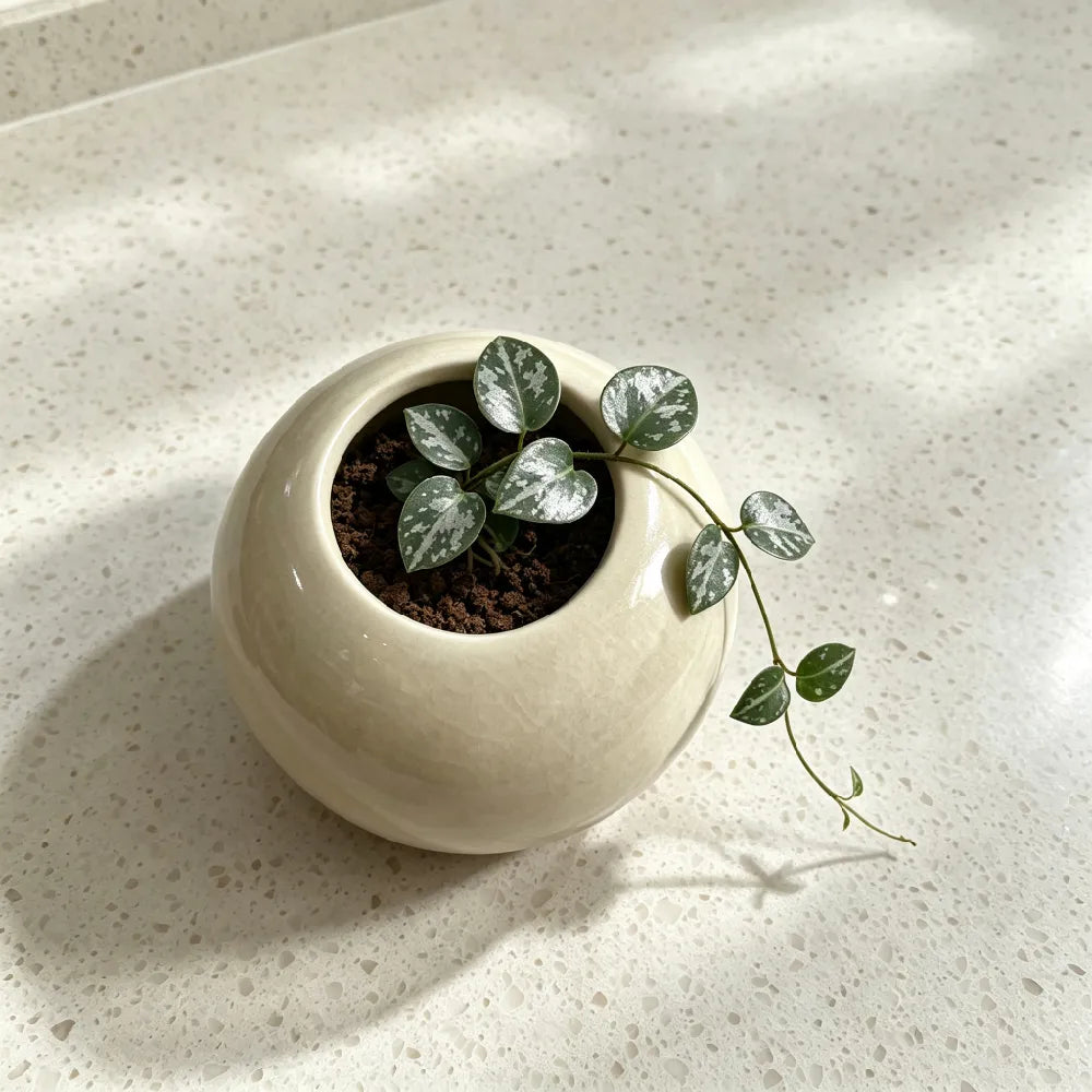 Orb Ceramic Planter - 3''