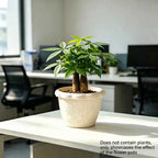 1.5 Gallon Embossed Flower Pot