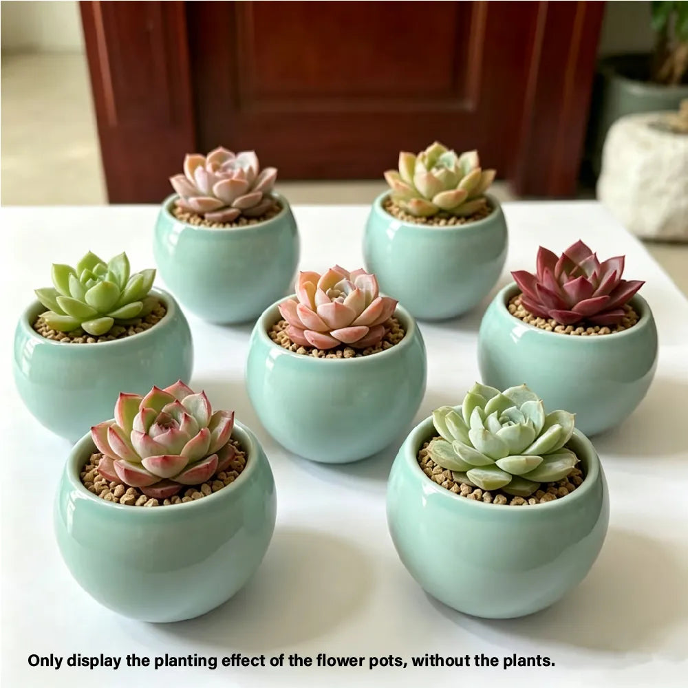 Bowl Shape Ceramic Planter - 3.5''