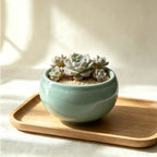 Bowl Shape Ceramic Planter - 3.5''