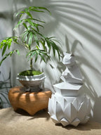 Buddha's Belly Bamboo Soil Song
