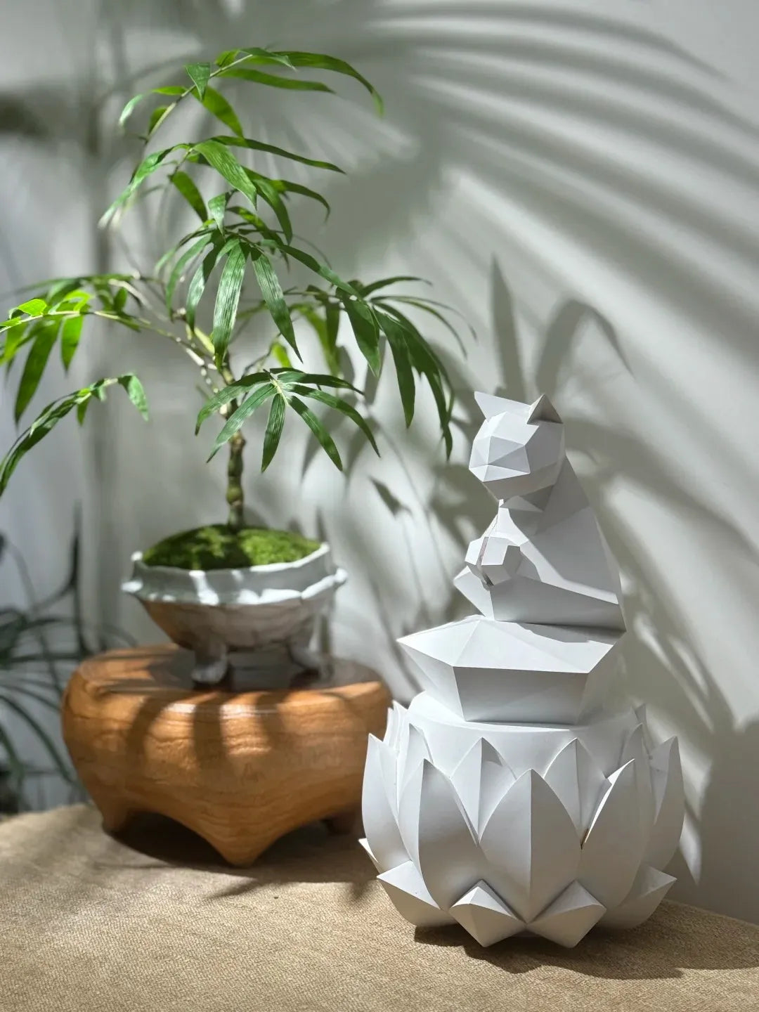 Buddha's Belly Bamboo Soil Song