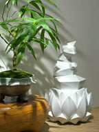 Buddha's Belly Bamboo Soil Song