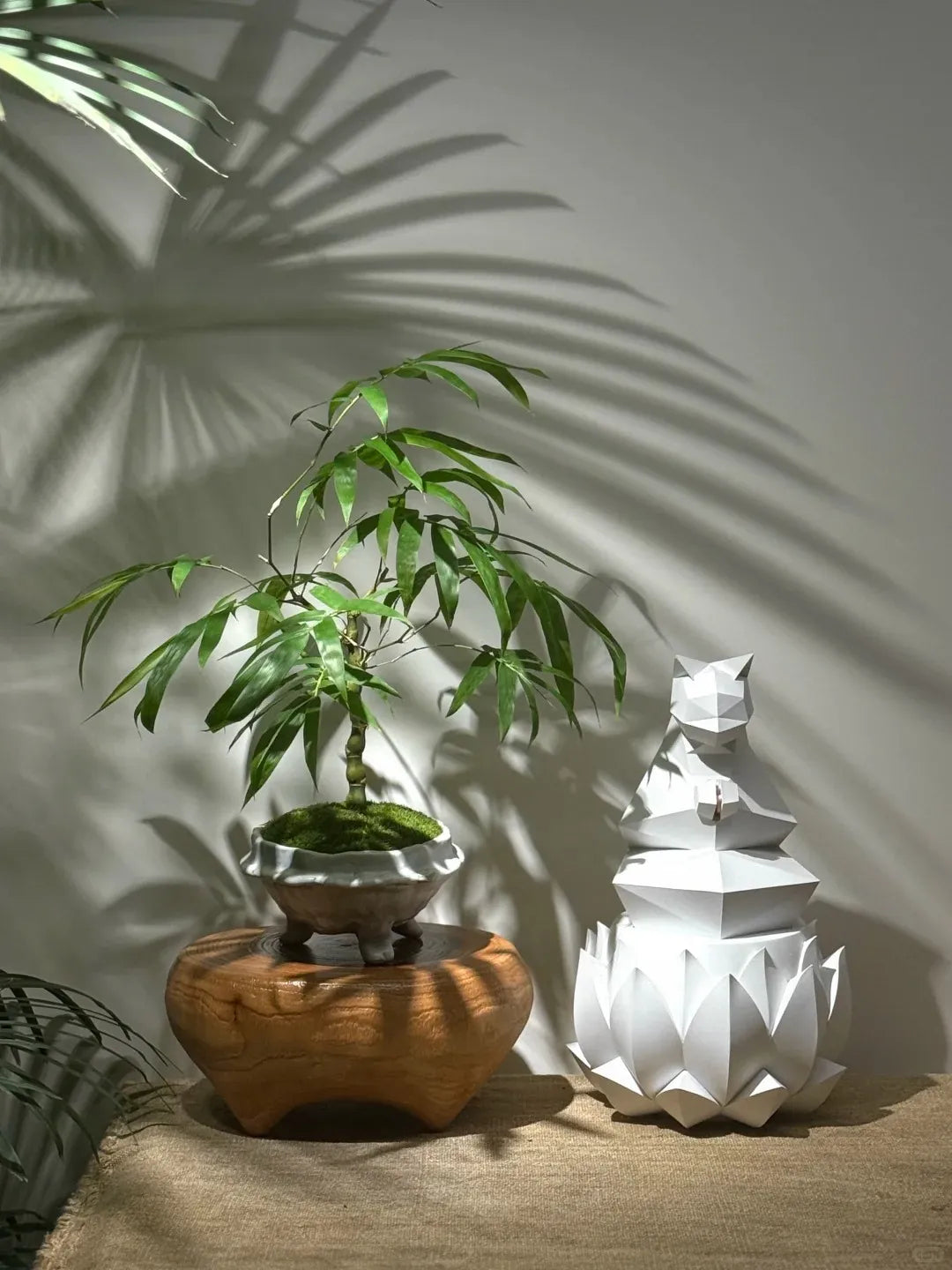 Buddha's Belly Bamboo Soil Song