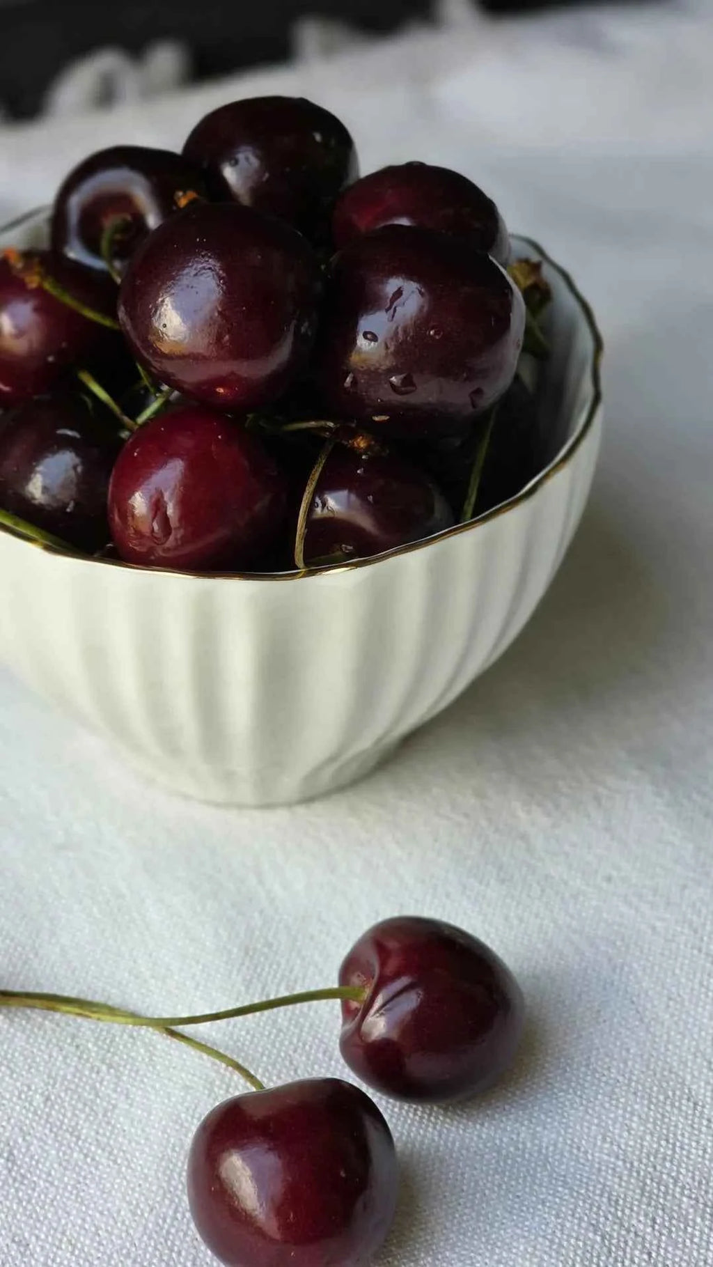 Bing Cherry Tree