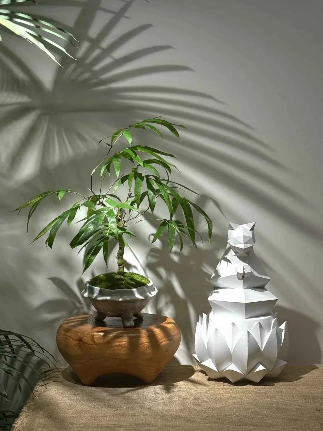 Bamboo plant with slender green stalks in round wooden-style pot
