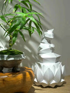 Bamboo rhizome in carved round pot with moss and green shoots