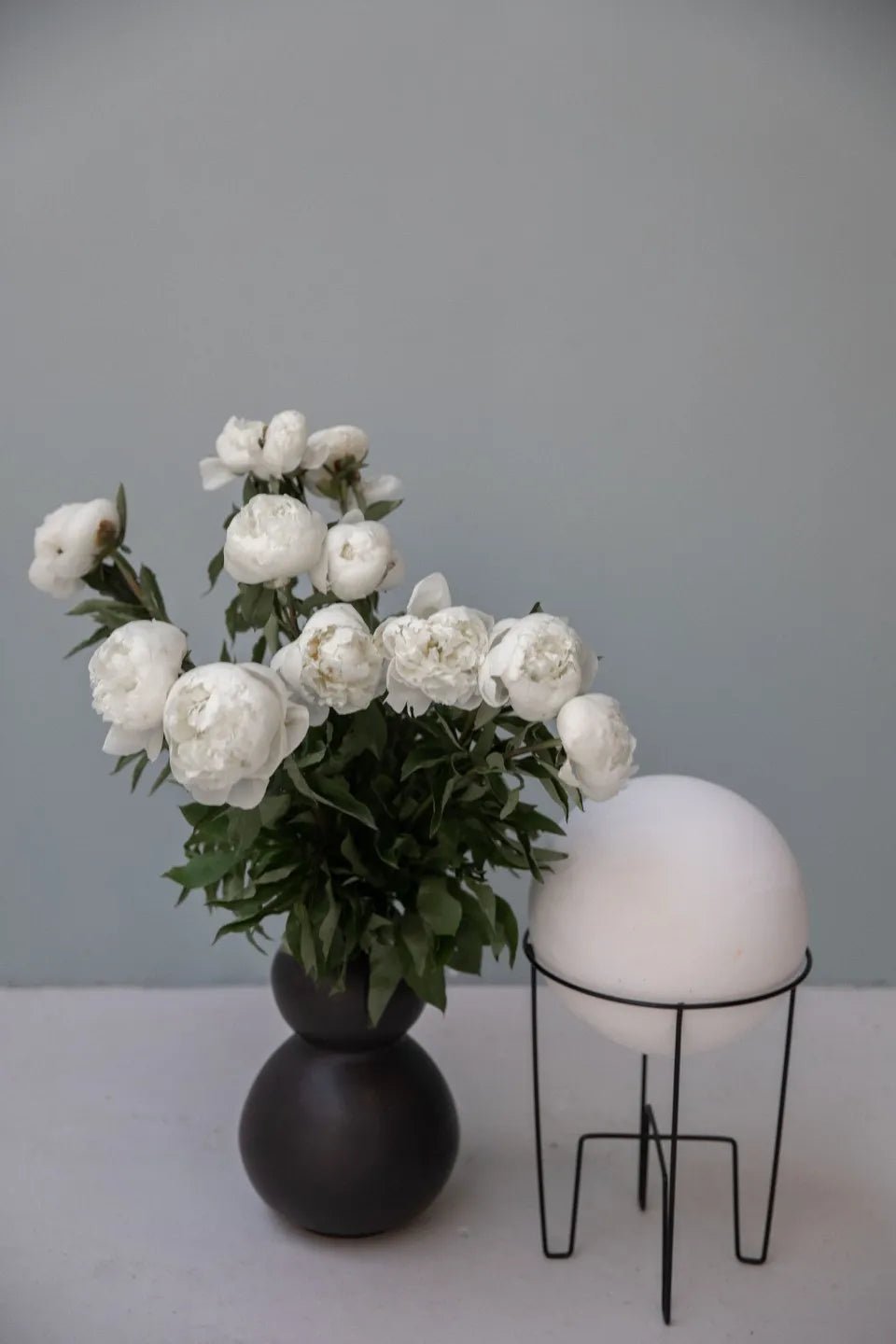 Duchesse de Nemours Peony Root - Soil Song
