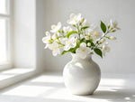 Jasmine Flower Sapling - Soil Song