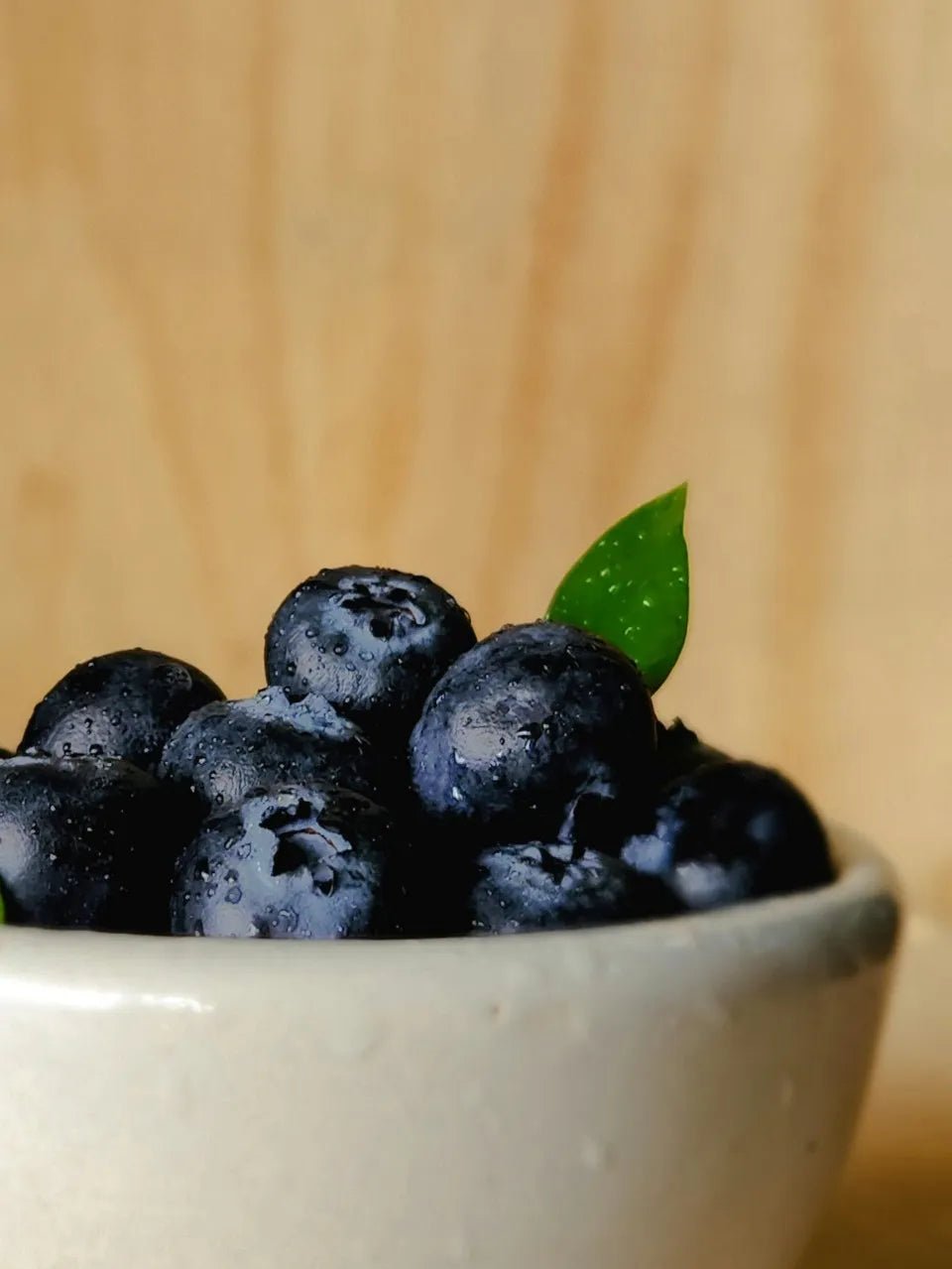 Legacy Blueberry Bush - Soil Song