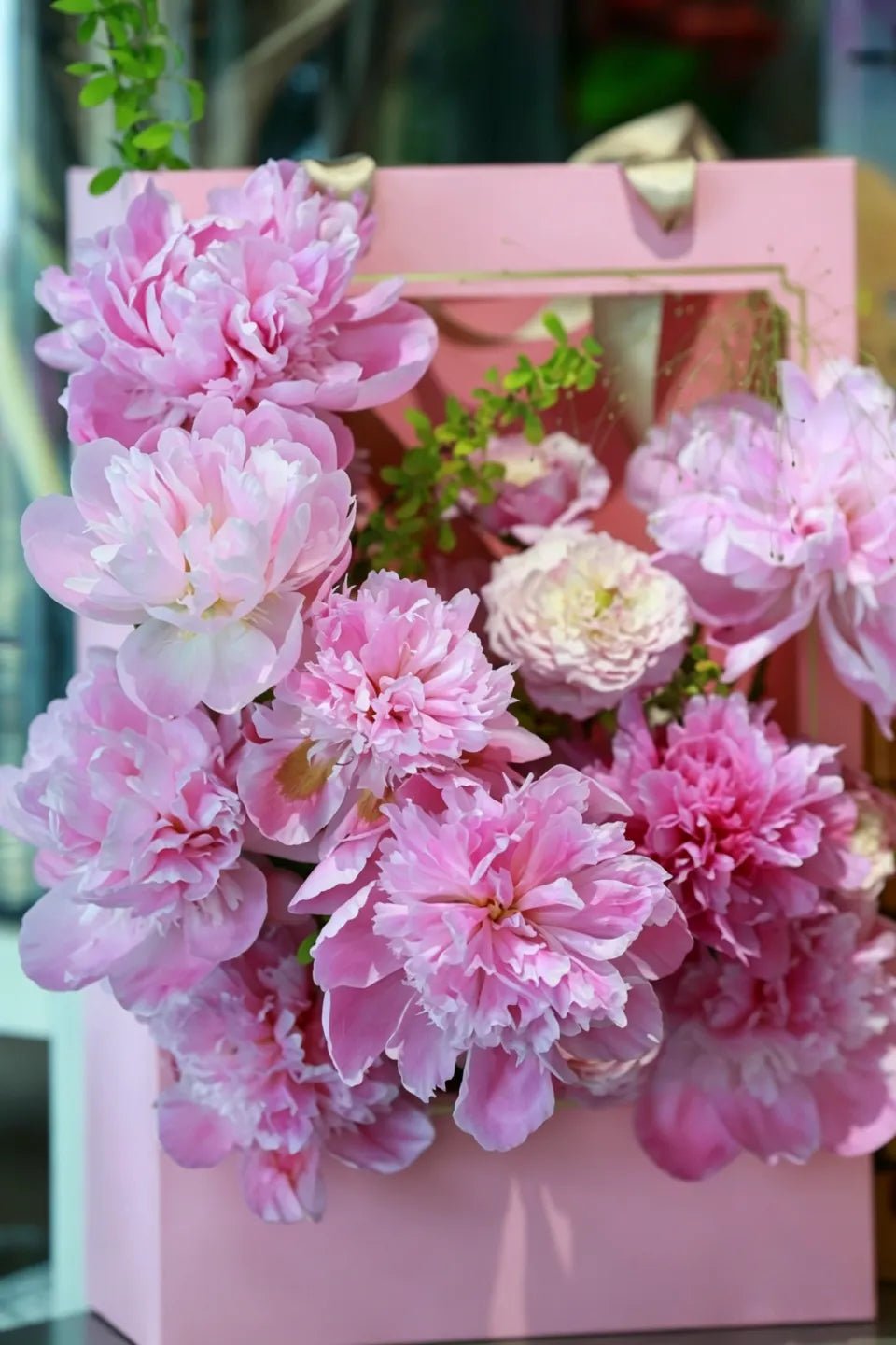 Sarah Bernhardt Peony Root - Soil Song