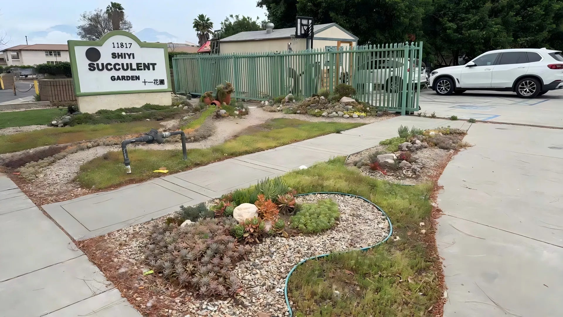 shiyi succulent garden